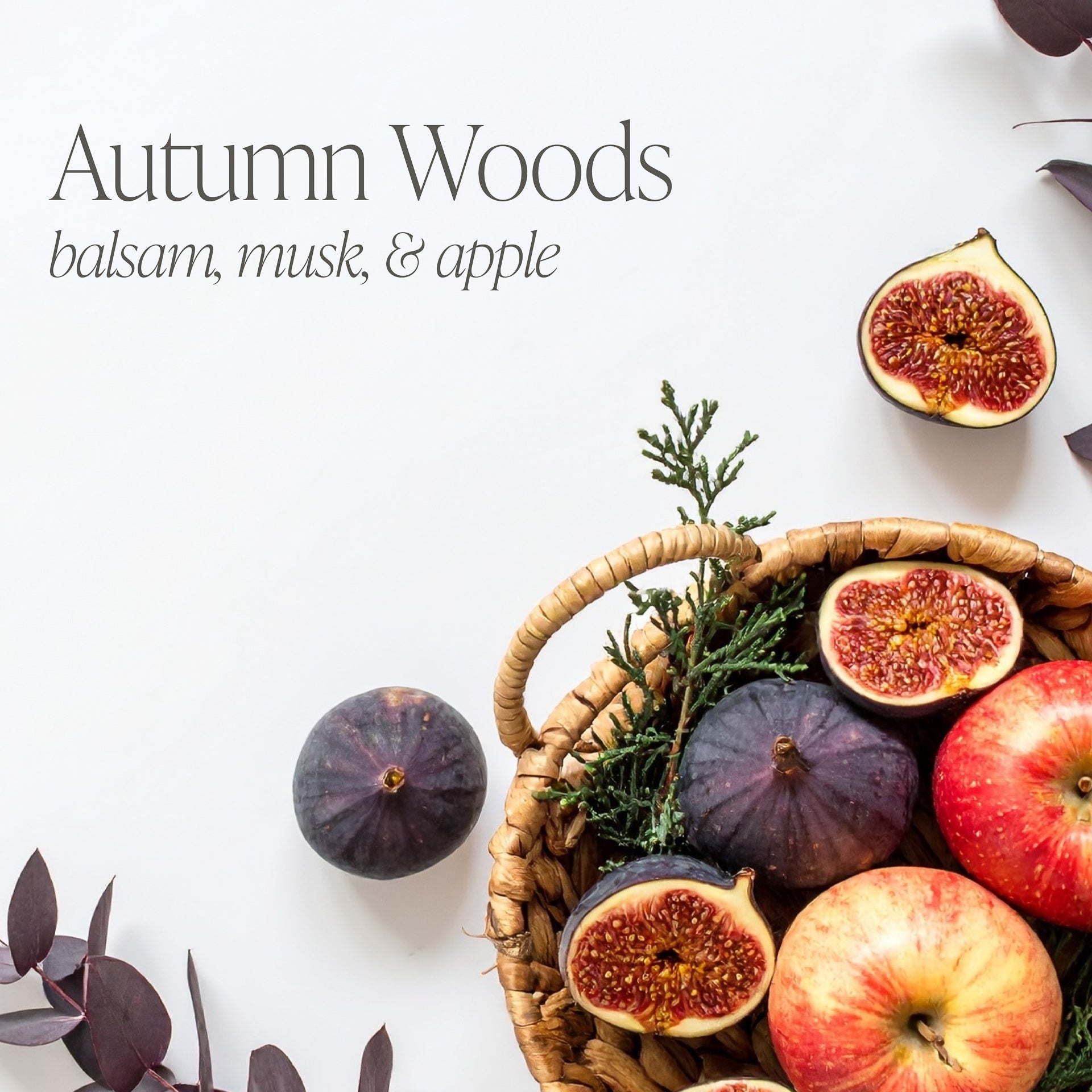 Autumn Woods
