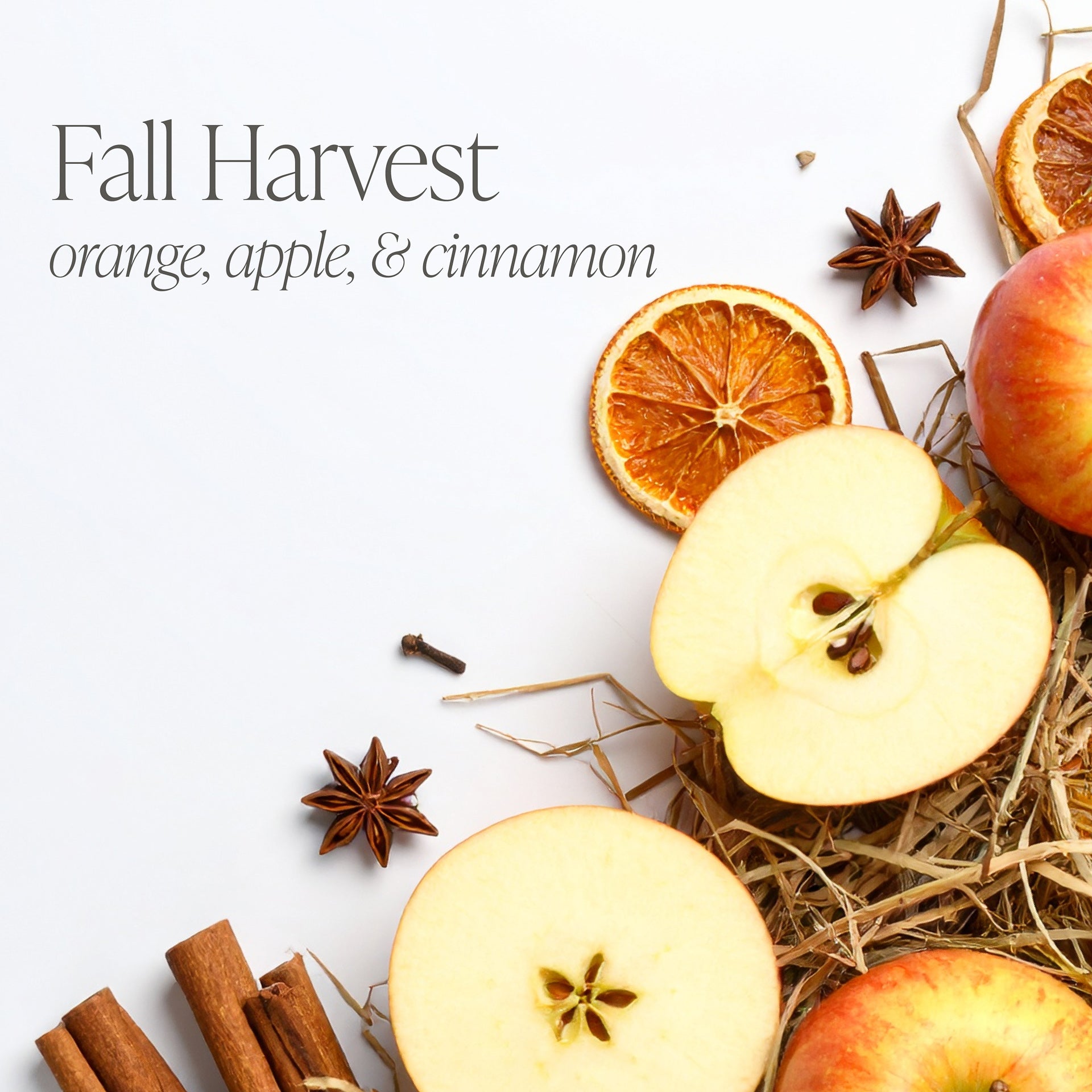 Fall Harvest